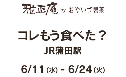 雅正庵の6月出店催事