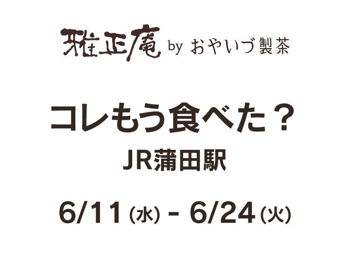 雅正庵の6月出店催事