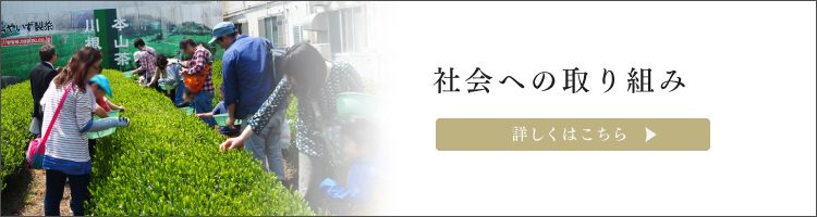 社会への取り組み